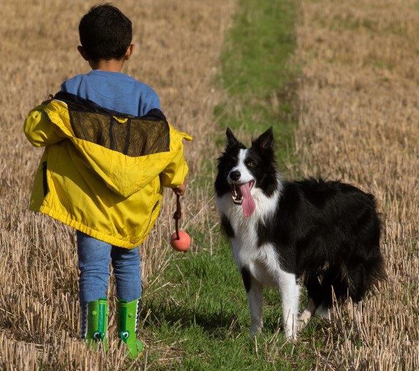 Boy with dog in field