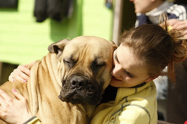 Girl hugging big dog