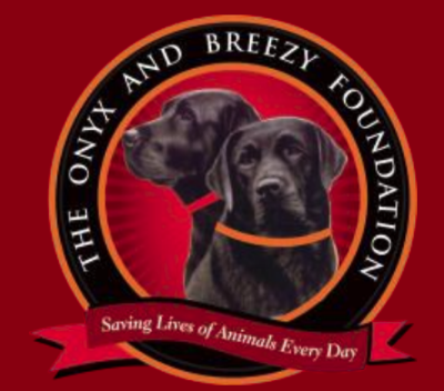 The Onyx and Breezy Foundation Logo