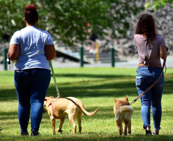 Two girls walking dogs in a park